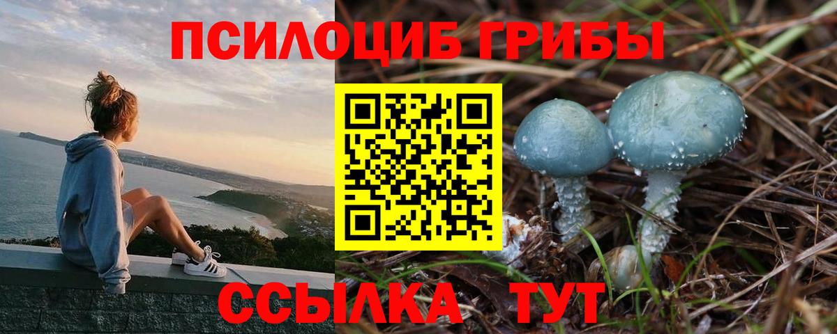 Нефтекамск  Галлюциногенные грибы GOLDEN TEACHER  Вход с VPN 