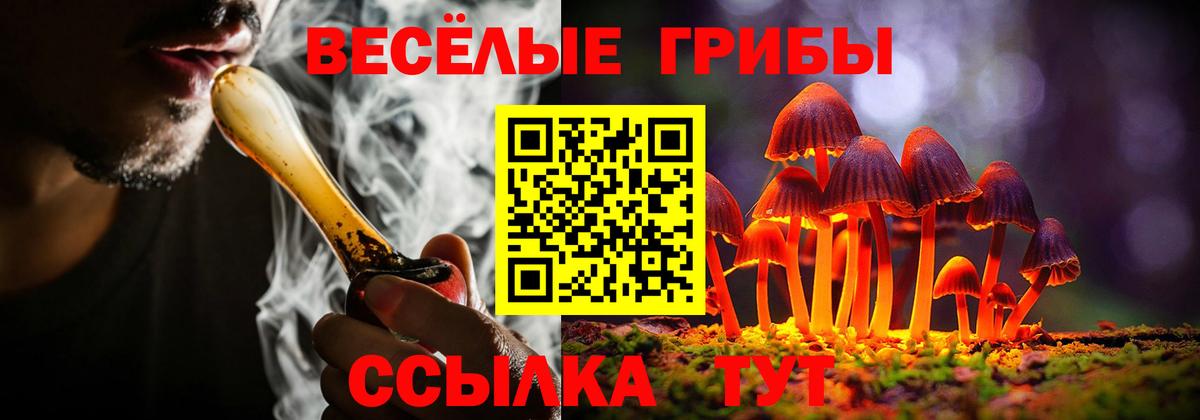 Галлюциногенные грибы Cubensis Нефтекамск
